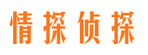 向阳市调查公司